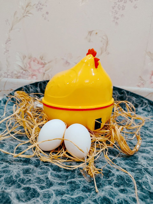 تخم-مرغ-پز-مرغی-جدید-زرد